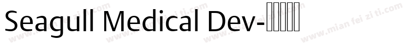 Seagull Medical Dev字体转换